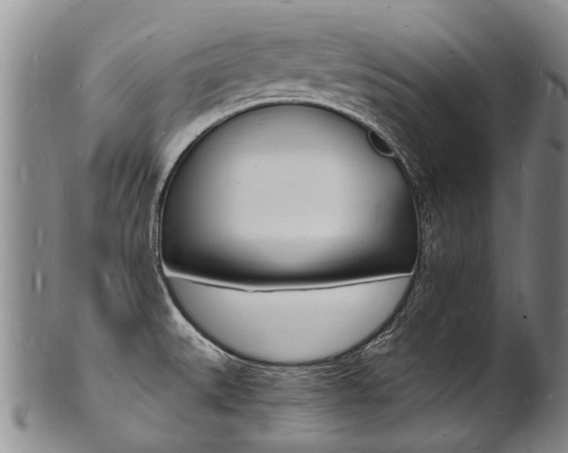 X0000101671527200807101037
