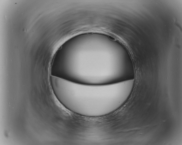 X0000101671528200807101037
