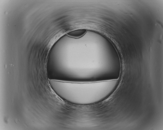 X0000101671529200807101037