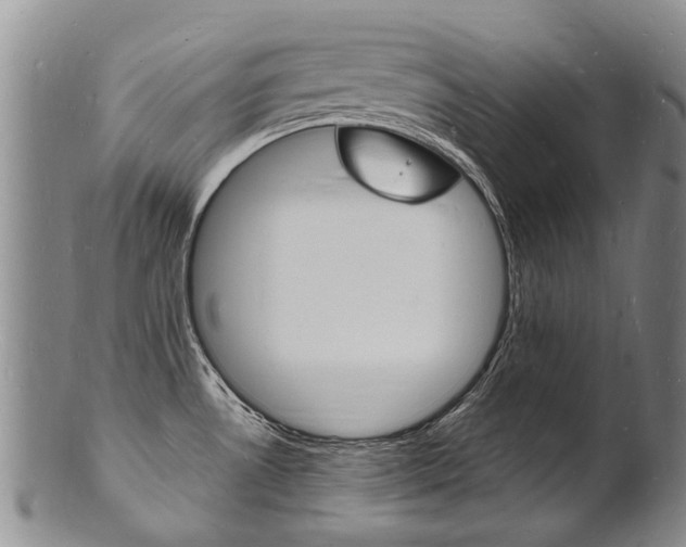 X0000101671530200807101037