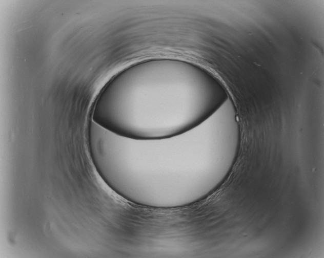 X0000101671531200807101037