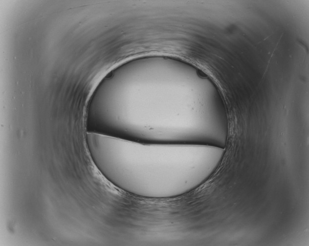 X0000101671532200807101037
