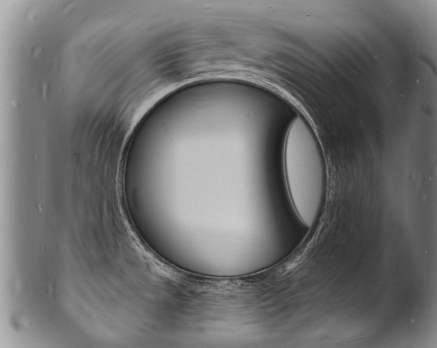 X0000101671533200807101037