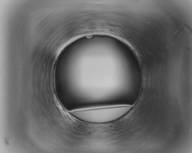 X0000101671534200807101037