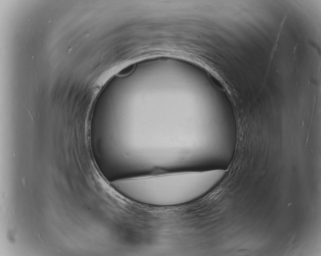 X0000101671535200807101037
