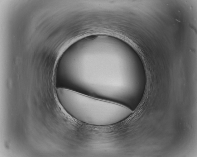X0000101671536200807101037