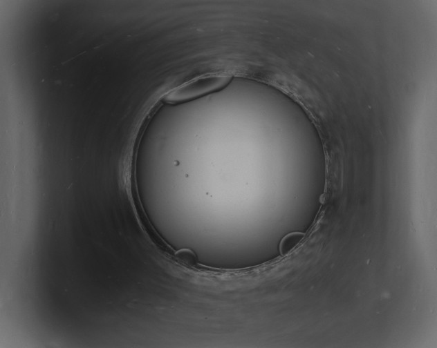 X0000101670003200807101410