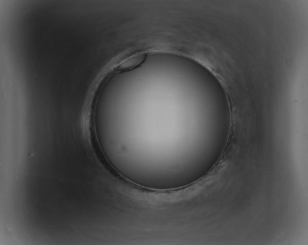 X0000101670007200807101410