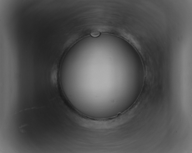 X0000101670010200807101410