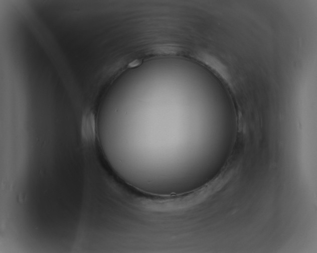 X0000101670013200807101410