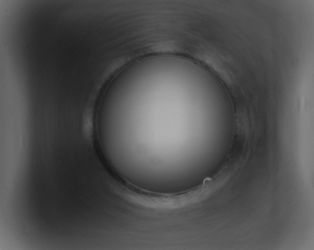 X0000101670015200807101410