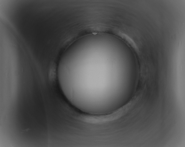 X0000101670017200807101410