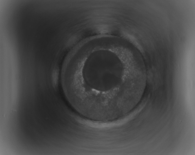 X0000101670018200807101410