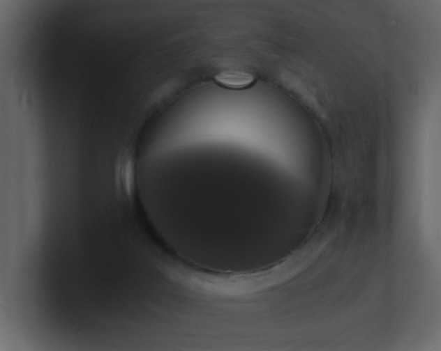 X0000101670019200807101410