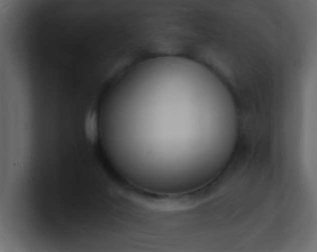 X0000101670020200807101410