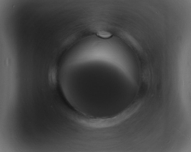 X0000101670023200807101410