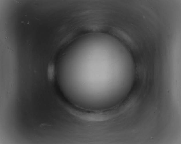 X0000101670024200807101410