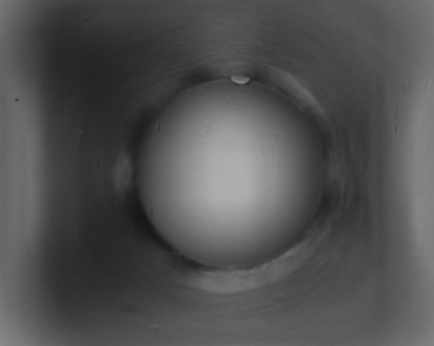 X0000101670025200807101410