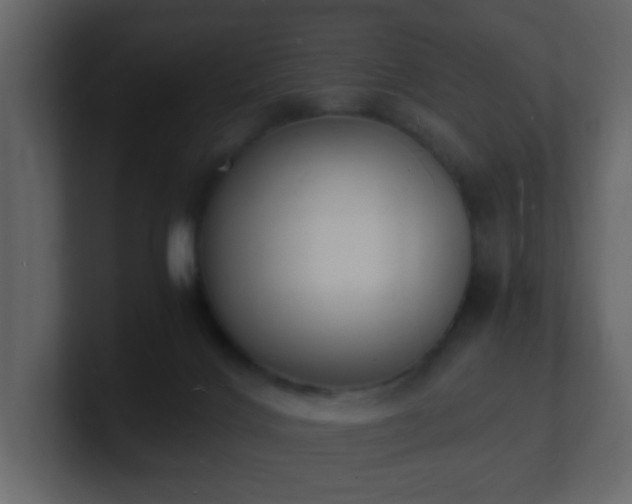 X0000101670028200807101410