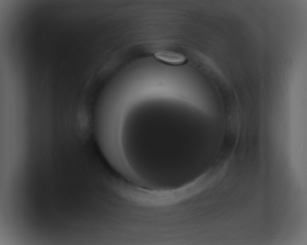X0000101670031200807101410