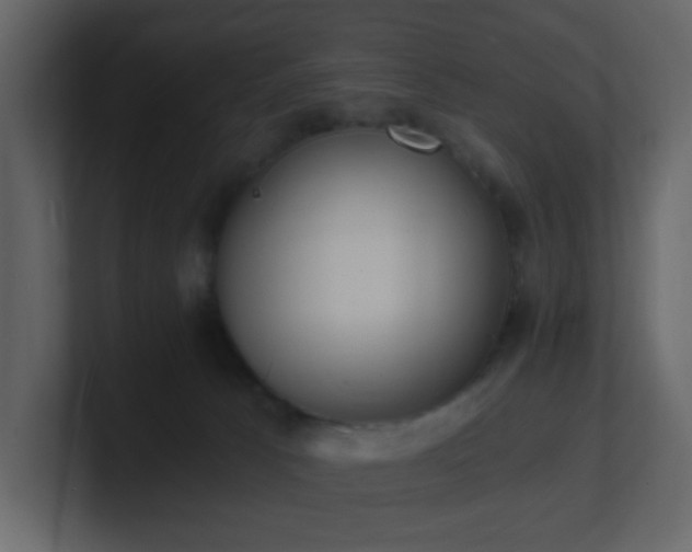 X0000101670033200807101410
