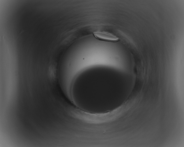 X0000101670035200807101410
