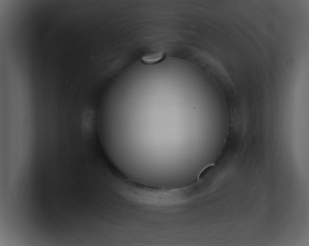 X0000101670036200807101410