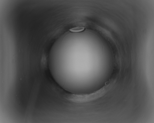X0000101670037200807101410