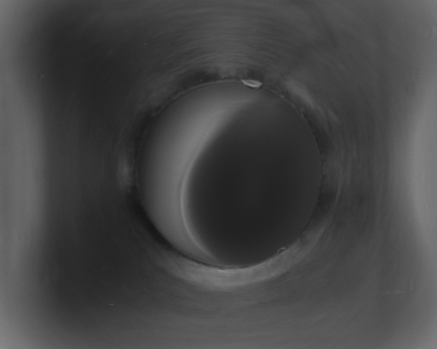 X0000101670039200807101409