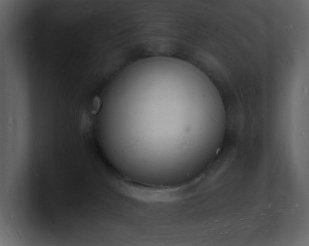 X0000101670040200807101409