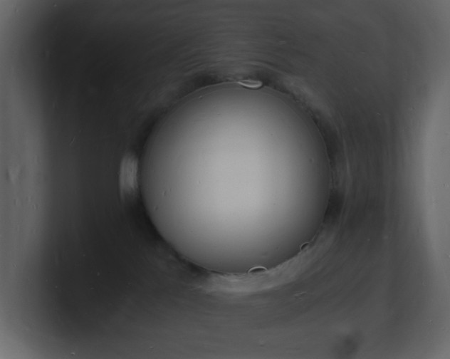 X0000101670041200807101409