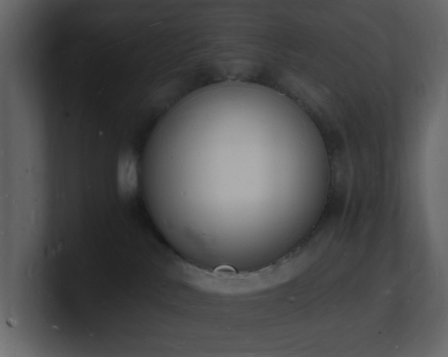 X0000101670042200807101409