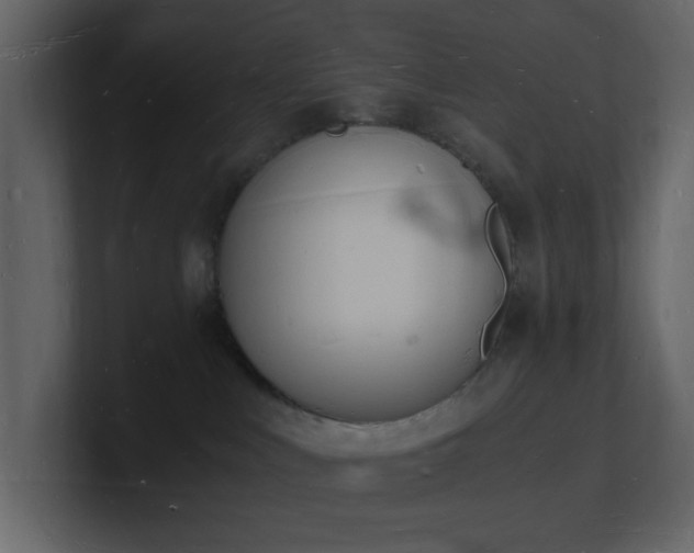 X0000101670043200807101409
