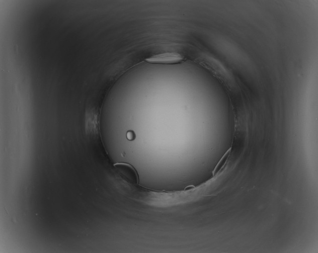 X0000101670045200807101409
