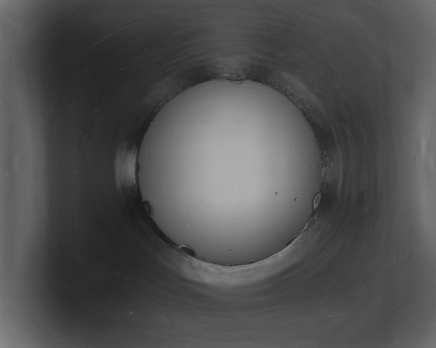 X0000101670047200807101409