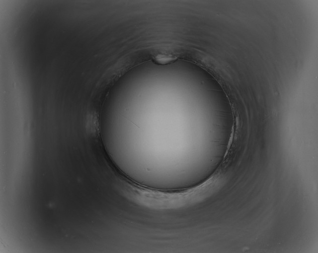 X0000101670048200807101409