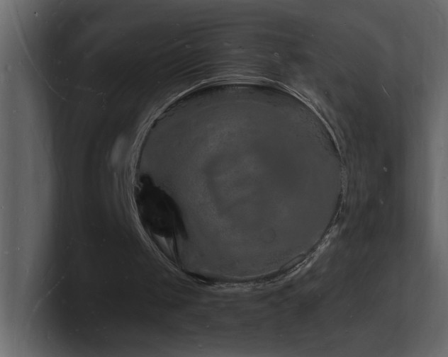 X0000101670049200807101409