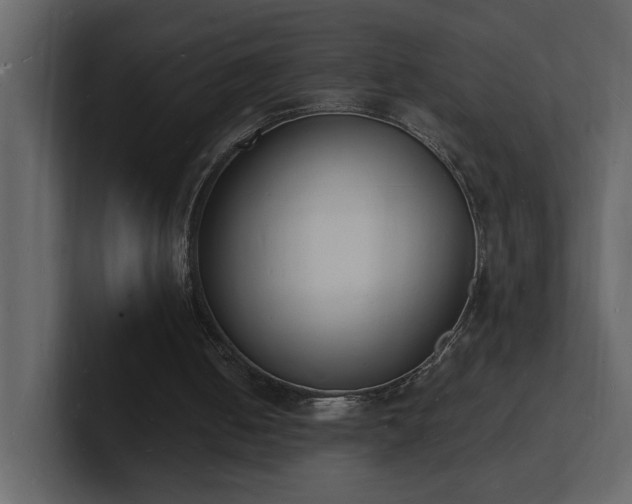 X0000101670050200807101409