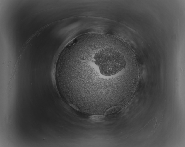 X0000101670051200807101409