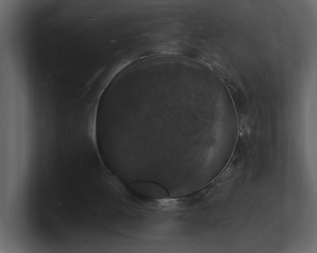 X0000101670052200807101409
