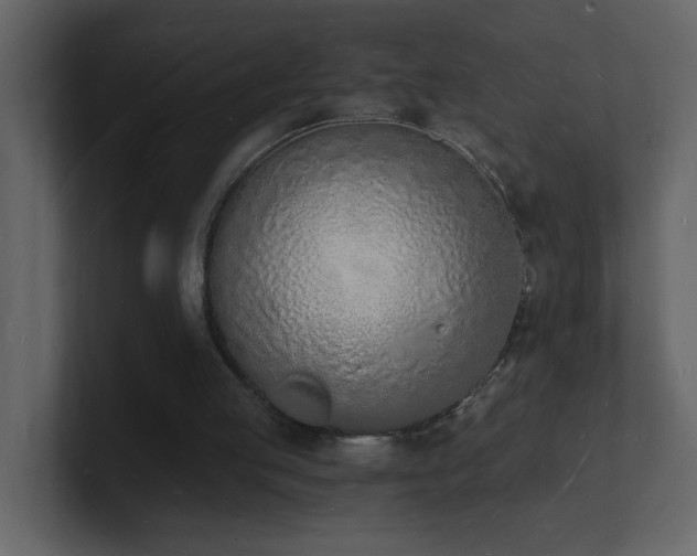 X0000101670053200807101409