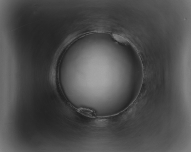 X0000101670055200807101409