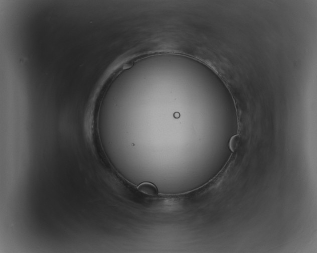 X0000101670056200807101409