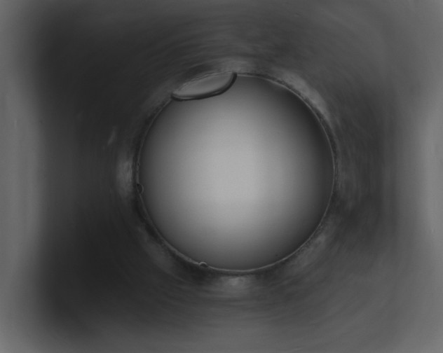 X0000101670057200807101409