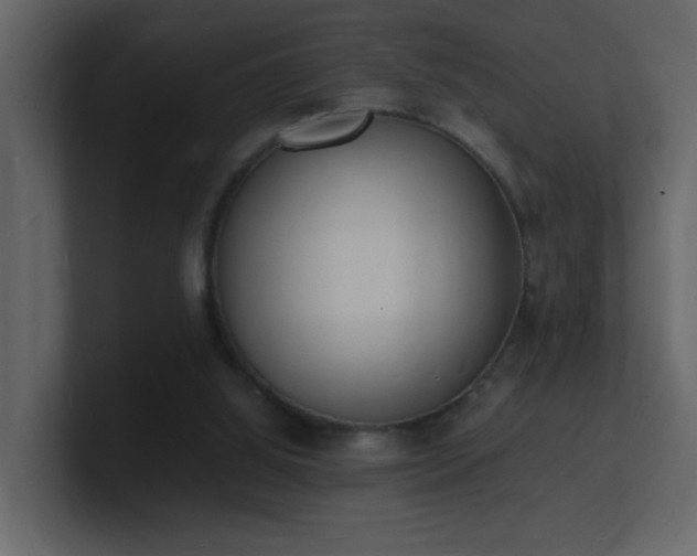 X0000101670060200807101409