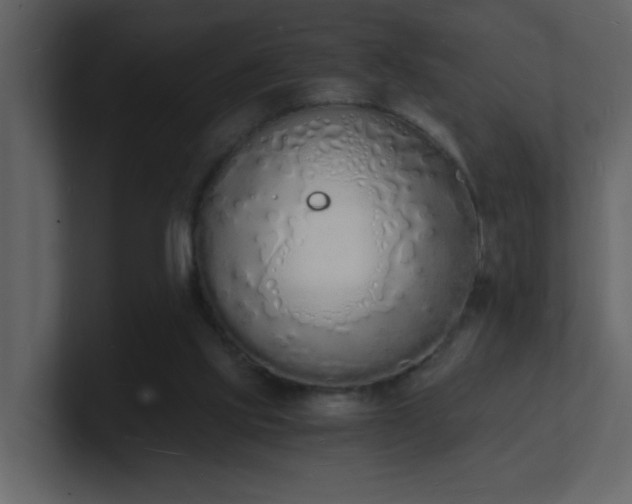 X0000101670061200807101409