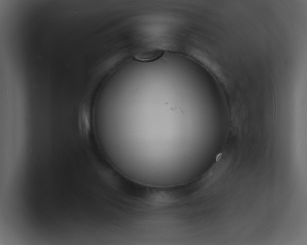 X0000101670062200807101409