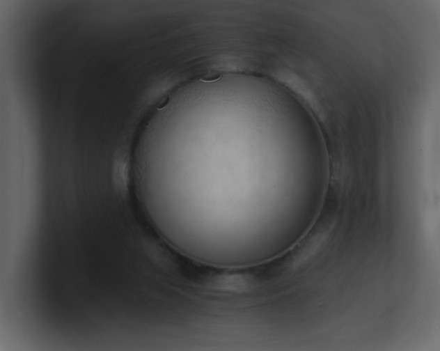 X0000101670063200807101409