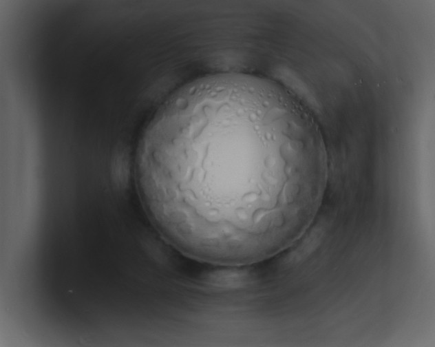 X0000101670065200807101409