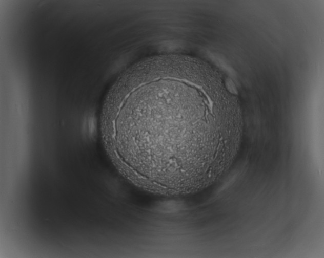 X0000101670067200807101409